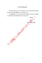 Thu hút vốn đầu tư trực tiếp nước ngoài (fdi) ở tỉnh quảng ngãi