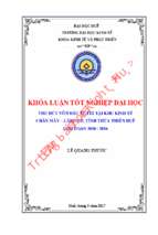 Thu hút vốn đầu tư fdi tại khu kinh tế chân mây – lăng cô, tỉnh thừa thiên huế giai đoạn 2010   2016