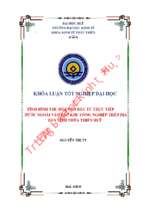 Tình hình thu hút vốn đầu tư trực tiếp nước ngoài vào các khu công nghiệp trên địa bàn tỉnh thừa thiên huế