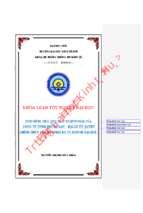 Tình hình tiêu thụ xe ô tô hyundai của công ty tnhh phước lộc – đại lý ủy quyền chính thức của hyundai by tc motor tại huế.