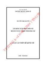 Tín dụng ngân hàng đối với hộ sản xuất cà phê tỉnh đắk lắk