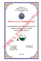 Tình hình kinh doanh và thực hiện kế hoạch kinh doanh của công ty cổ phần cảng vũng áng việt lào