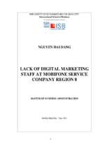 Lack of digital marketing staff at mobifone service company region 8