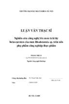 Nghiên cứu công nghệ lên men tích lũy beta caroten của men rhodotorula sp. trên nền phụ phẩm công nghiệp thực phẩm