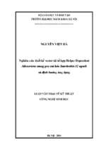 Nghiên cứu thiết kế vector tái tổ hợp helper dependent adenovirus mang gen mã hóa interleukin 12 người và định hướng ứng dụng