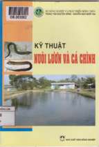 Kỹ thuật nuôi lươn và cá chình