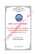Hoàn thiện chiến lược marketing cho dịch vụ viễn thông di động tại mobifon tỉnh gia lai