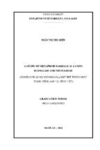 A study on metaphor marriage is a unity in english vietnamese=nghiên cứu ẩn dụ hôn nhân là một thể thống nhất trong tiếng anh và tiếng việt   