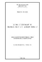 Bản sắc tây nguyên trong sáng tác của nguyên ngọc 