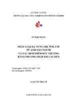 Phân loại ba vùng gm, wm, csf từ ảnh não người và xác định điểm bất thường bằng phương pháp em cải tiến   