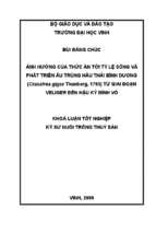 Ảnh hưởng của thức ăn tới tỷ lệ sống và phát triển của ấu trùng hầu thái bình dương ( crassostrea gigas thunberg,1793 ) giai đoạn trôi nổi 