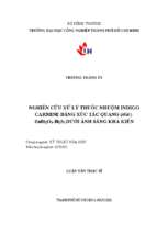 Nghiên cứu xử lý thuốc nhuộm indigo carmine bằng xúc tác quang ( sgr ) znbi2o4 – bi2s3 dưới ánh sáng khả kiến   