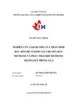 Nghiên cứu ảnh hưởng của than sinh học đến hệ vi sinh vật chuyển hóa methane và phat thait khí methane trong đất trồng lúa