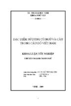 Đặc điểm sử dụng từ ngữ và câu trong câu đố việt nam 