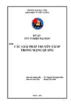 Các giải pháp truyền tải ip trong mạng quang   