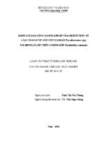 Đánh giá khả năng kháng khuẩn của dịch ép một số loại thảo dược đối với vi khuẩn pseudomonas spp gây  bệnh lở loét trên cá bông bớp (bostrichthys sinensis)   