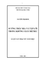 Đường trắc địa và tập lồi trong không gian metric