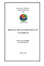 Khảo sát một số giống hoa cúc tại nghệ an   