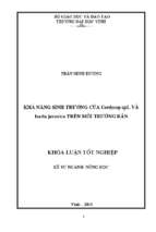 Khả năng sinh trưởng của cordycep sp1. và isaria javanica trên môi trường rắn   