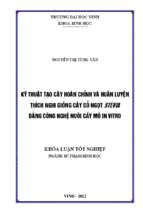 Kỹ thuật tạo cây hoàn chỉnh và huấn luyện thích nghi giống cây cỏ ngọt stevia bằng công nghệ nuôi cấy mô in vitro   