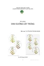 Dinh dưỡng cây trồng