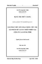 Một số giải pháp nhằm thúc đẩy hoạt động tiêu thụ sản phẩm mủ cao su thiên nhiên tại công ty cao su hà tĩnh 