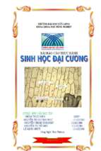  Báo cáo thực hành sinh học đại cương – nhóm 4– tiểu nhóm