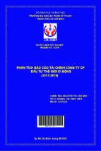 Phân tích báo cáo tài chính công ty cổ phần đầu tư thế giới di động (2017   2019)