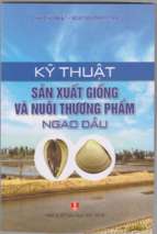 Kỹ thuật sản xuất giống và nuôi thương phẩm ngao dầu