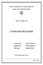 Báo cáo thực tập connection developer