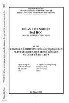Khảo sát ảnh hưởng của lactobacillus plantarum đến quá trình lên men nước ép cà rốt, dứa