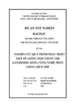 Nghiên cứu quá trình phát triển một số giống nấm thuộc chi ganoderma bằng công nghệ nhân giống dịch thể