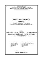 Khảo sát ảnh hưởng của lactobacillus plantarum đến quá trình lên men nước ép dứa