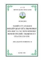 Nghiên cứu in silico mối liên quan giữa thành phần hóa học và tác dụng sinh học định hướng điều trị bệnh gút của cây cần tây