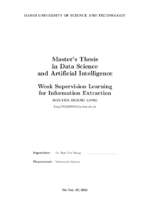 Weak supervision learning for information extraction