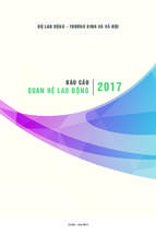 Báo cáo quan hệ lao động 2017