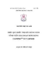 Luận án tiến sĩ hiệu quả điều trị sâu răng hàm vĩnh viễn giai đoạn sớm bằng clinprotm xt varnish