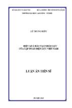 Luận án tiến sĩ hiệu quả đào tạo nhân lực của tập đoàn điện lực việt nam