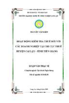 Luận văn thạc sĩ hoạt động kiểm tra thuế đối với các doanh nghiệp tại chi cục thuế huyện cai lậy   tỉnh tiền giang