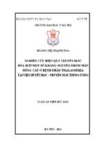 Luận án tiến sĩ nghiên cứu hiệu quả truyền máu hòa hợp một số kháng nguyên nhóm máu hồng cầu ở bệnh nhân thalassemia tại viện huyết học   truyền máu trung ương