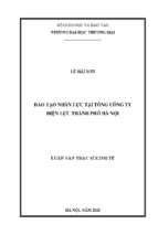 Luận văn thạc sĩ đào tạo nhân lực tại tổng công ty điện lực thành phố hà nội