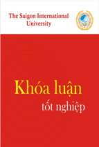 Khóa luận giải pháp nâng cao hiệu quả sản xuất xuất khẩu hàng tinh bột sắn tại công ty tnhh sunchung