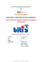 Đề tài phân tích chiến lược digital marketing của thương hiệu biti's