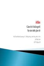 Bài giảng buồng trứng, noãn bào, phôi và thai giao tử ở loài người và sự sản sinh giao tử