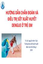 Bài giảng hướng dẫn chẩn đoán và điều trị sốt xuất huyết dengue ở trẻ em