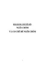 Bài giảng chuyên đề ngôi chỏm và cơ chế đẻ ngôi chỏm