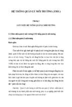 Hệ thống quản lý môi trường ( ems )
