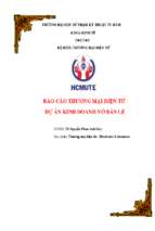 Báo cáo thương mại điện tử dự án kinh doanh vớ bán lẻ