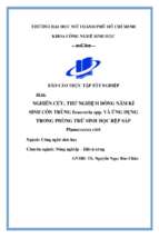 Nghiên cứu, thử nghiệm dòng nấm kí sinh côn trùng beauveria spp. và ứng dụng trong phòng trừ sinh học rệp sáp planococcus citri