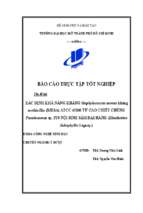 Xác định khả năng kháng staphylococcus aureus kháng methicillin (mrsa) atcc 43300 từ cao chiết chủng pseudomonas sp. p20 nội sinh sâm đại hành (eleutherine subaphylla gagnep.)